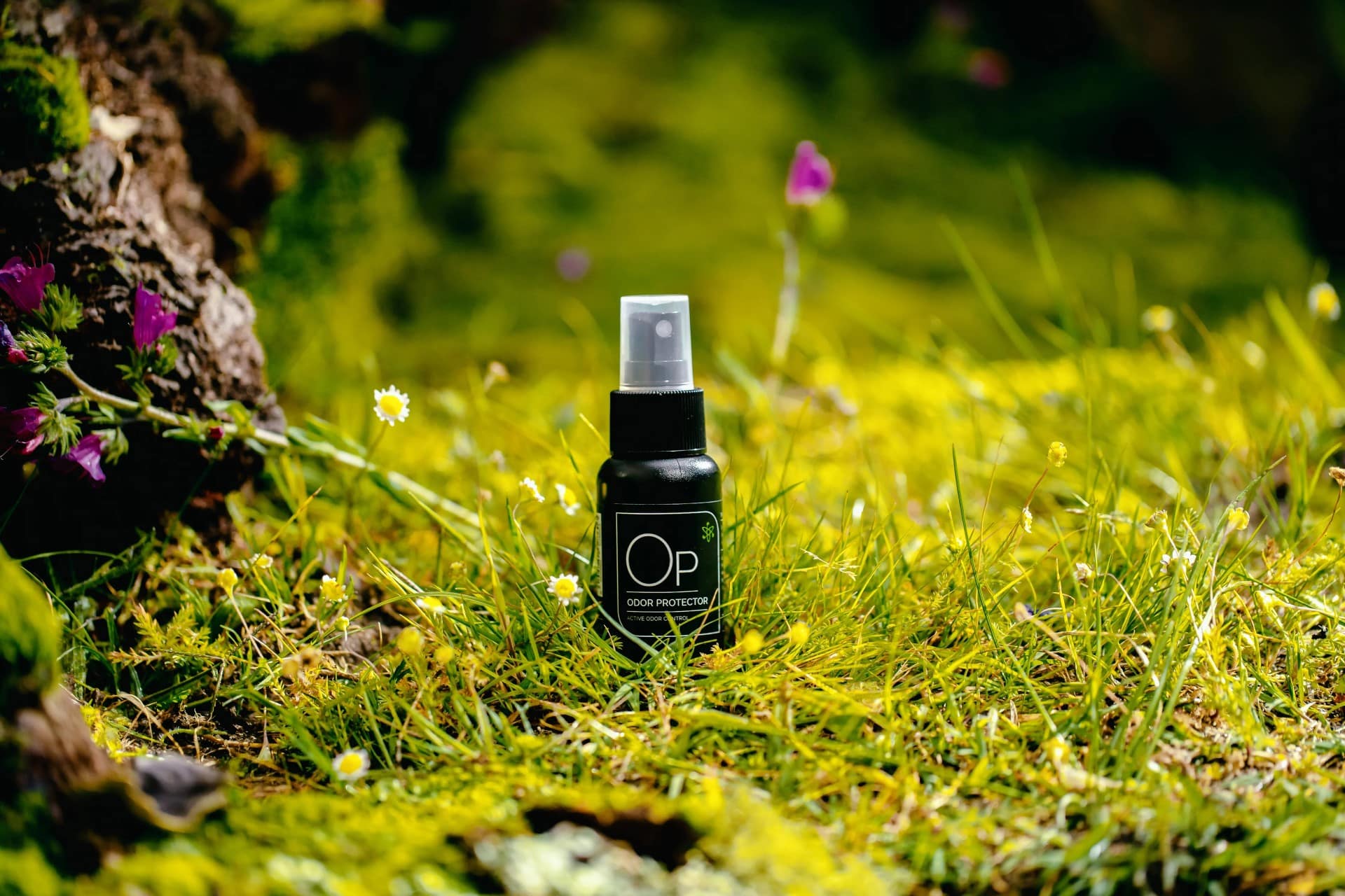 Duurzaamheid in de Sneaker Industrie: Een Groene Stap Vooruit met Sneaker LAB